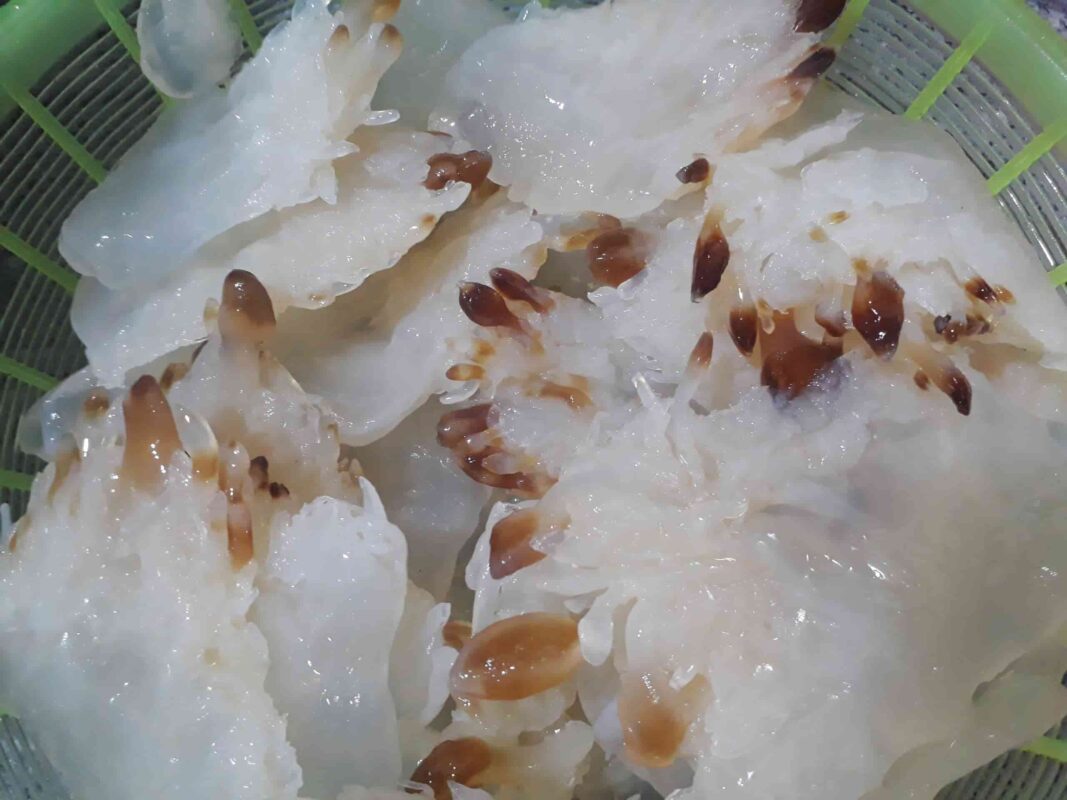 Sứa Biển Kỳ Anh Hà Tĩnh – Tươi Ngon, Chất Lượng Tại Sứa Dung Mai 9 Sửa Biển Mai Dung tươi ngon cung cấp sỉ lẻ toàn quốc