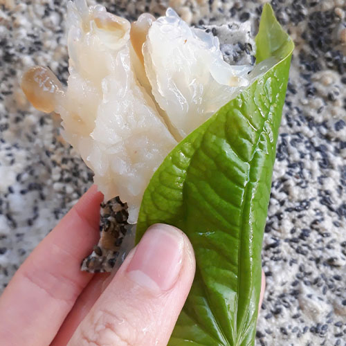 Sứa Ăn Liền Cách Làm Gỏi Sứa Đơn Giản Đậm Vị Miền Trung 4 Sứa cuốn lá lốt chấm mắm tôm