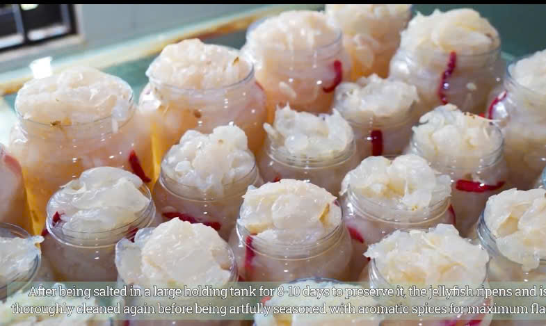 Sứa Biển Giá Sỉ Mai Dung Hà Tĩnh