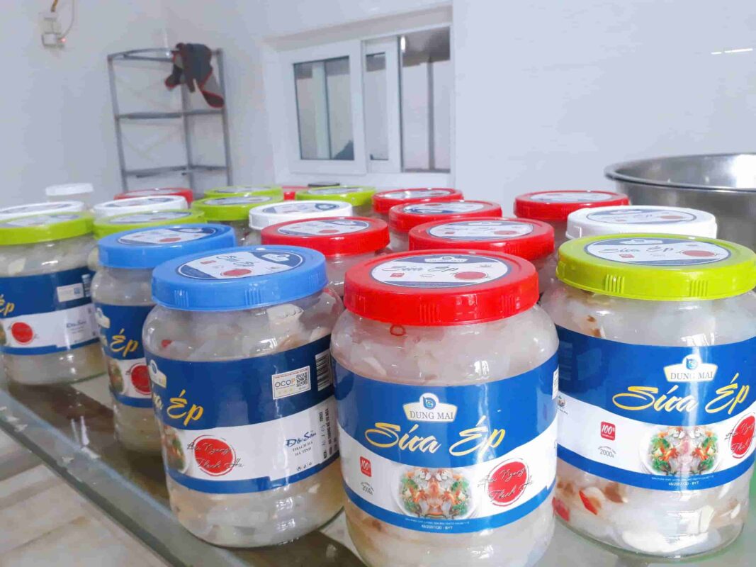 SỨA BIỂN HÀ TĨNH 12 Sứa Biển Hà Tĩnh giá sỉ