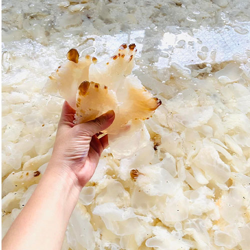 Sứa Ép Dung Mai – Cung Cấp Sứa Biển Giá Sỉ Hấp Dẫn Tại Hà Tĩnh Và Toàn Quốc 6 Sứa Mặn hà tĩnh luôn sẵn để đóng giao cho khách hàng