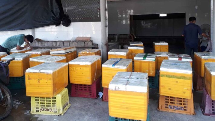 Sứa Ăn Liền Món Ngon Giòn Sần Sật Tiện Lợi Cho Bữa Ăn Hiện Đại 10 Đóng Sứa Mặn Giao Toàn Quốc