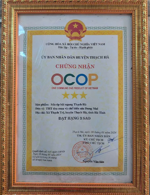 Sứa Hà Tĩnh Dung Mai đặc sản đạt chuẩn OCOP 4 Sứa Dung Mai Ocop Hà Tĩnh