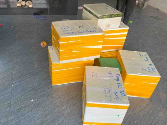 sứa giá sỉ hà tĩnh dung mai