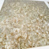 sứa mặn ngâm trong bể chứa sạch sẽ