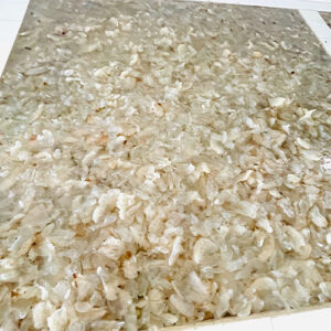 sứa mặn ngâm trong bể chứa sạch sẽ