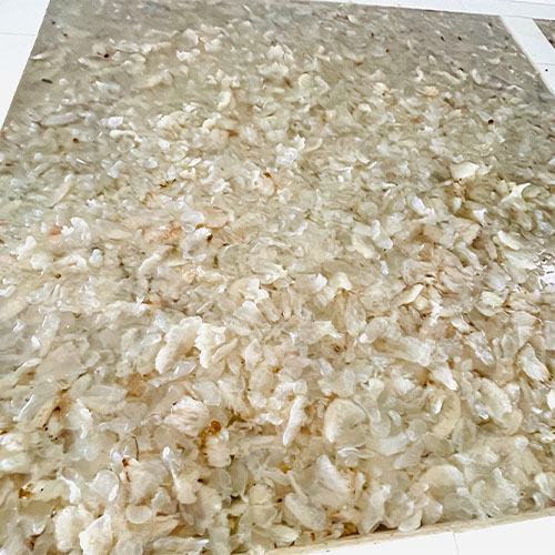 Sứa Mặn Hà Tĩnh 3 sứa mặn ngâm trong bể chứa sạch sẽ