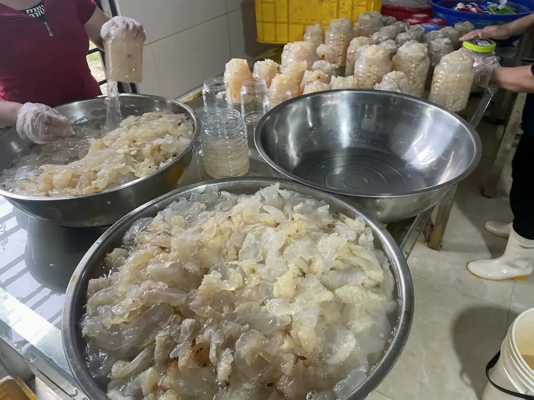 Chân sứa ăn liền đóng hộp gói cho khách