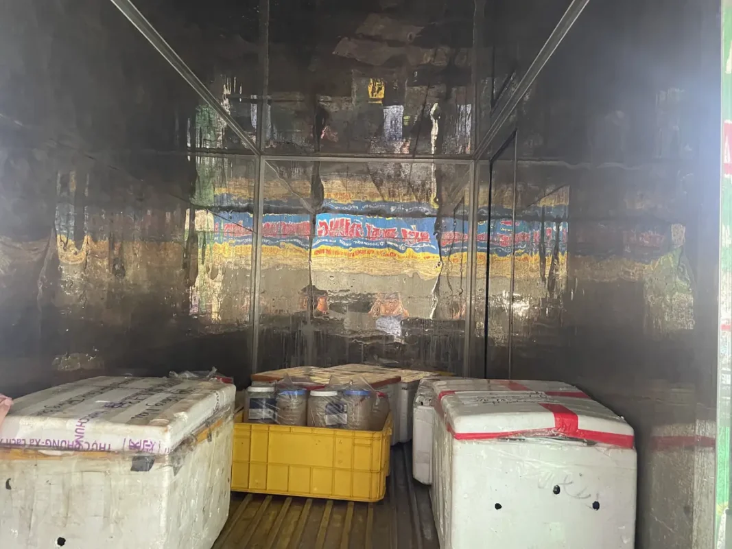 Giao hàng sứa biển toàn quốc